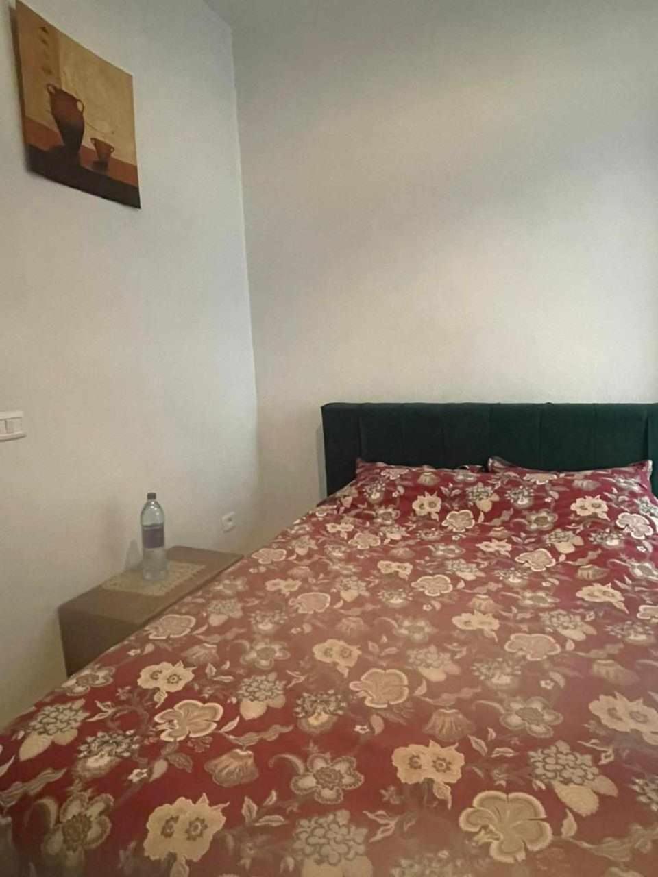 Appartement A Carthage Byrsa 客房 照片